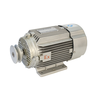 Ex-proof Motor ZCMT-380V